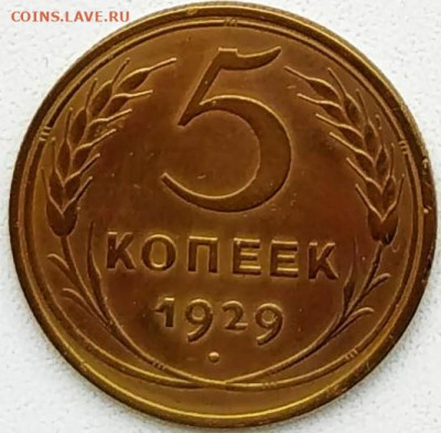 5 копеек 1929. Нечастый год. До 06.03.21г до 22.00 МСК - 1614583969702