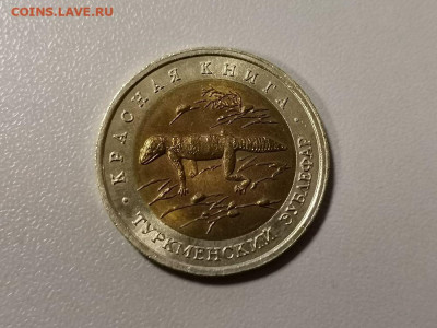 50р 1993г Кр.книга- Туркмен. зублефар, до 07.03 - ЧК Зублефар-1