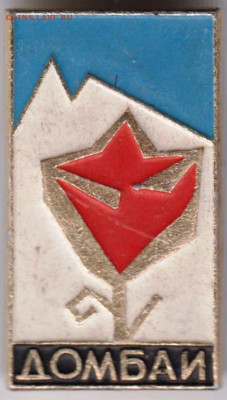 Знак "ДОМБАИ" до 08.03.21 г. в 23.00 - 012