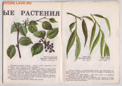 Наг. пособ. ЛЕКАРСТВЕННЫЕ РАСТ. 197 г. до 08.03.21 г в 23.00 - 008