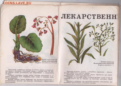Наг. пособ. ЛЕКАРСТВЕННЫЕ РАСТ. 197 г. до 08.03.21 г в 23.00 - 007