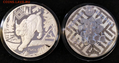 БЕЛАРУСЬ 1 РУБЛЬ 2020 ЗАКАЗНИК СИНЬША Рысь, ФИСК 1150р - rps20210302_183052