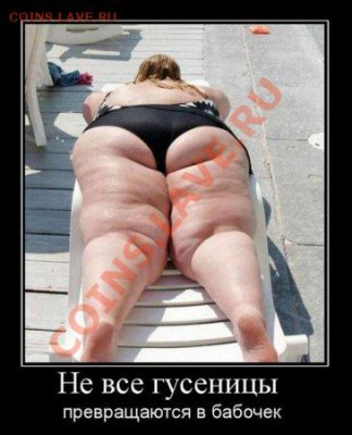 Ассоциация слов - 109_show