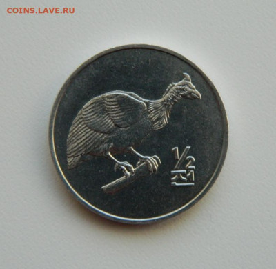2 чона 2002 г.(Юбилейная) Фауна до 09.03.21 - DSCN6882.JPG