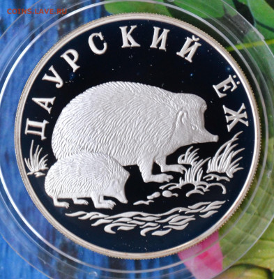 2 рубля КК набор 1999 до 10.03 в 22:00 - DSC_0041.JPG