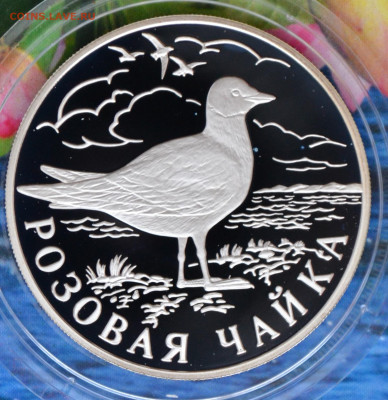 2 рубля КК набор 1999 до 10.03 в 22:00 - DSC_0024.JPG