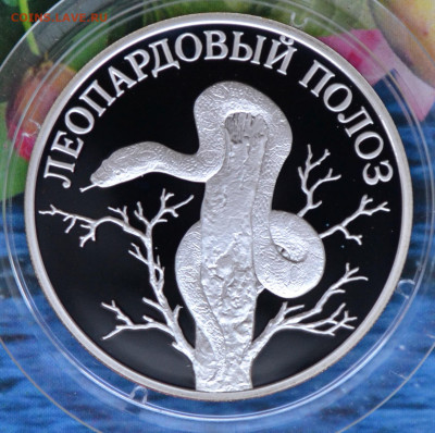 2 рубля КК набор 2000 - DSC_0086.JPG
