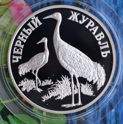 2 рубля КК набор 2000 - DSC_0072.JPG