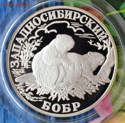 2 рубля КК набор 2001 - DSC_0028.JPG
