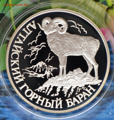 2 рубля КК набор 2001 - DSC_0018.JPG