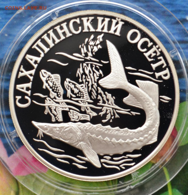 2 рубля КК набор 2001 - DSC_0001.JPG