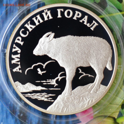 2 рубля КК набор 2002 - DSC_0063.JPG