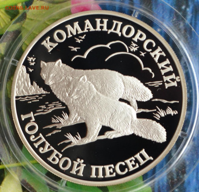 2 рубля КК набор 2003 - DSC_0104.JPG