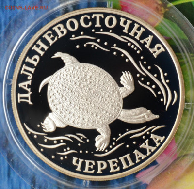 2 рубля КК набор 2003 - DSC_0074.JPG