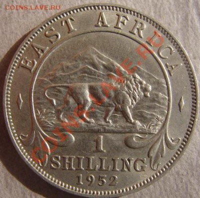 - Британская Вост. Африка 1 шиллинг 1952 - до 13.10.11 22Мск - Coin1170(4)