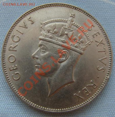 - Британская Вост. Африка 1 шиллинг 1952 - до 13.10.11 22Мск - Coin1170(1)