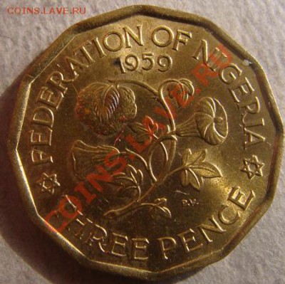 - Британская Нигерия 3 пенса 1959 UNC - до 13.10.11 22Мск - Coin1169(4)
