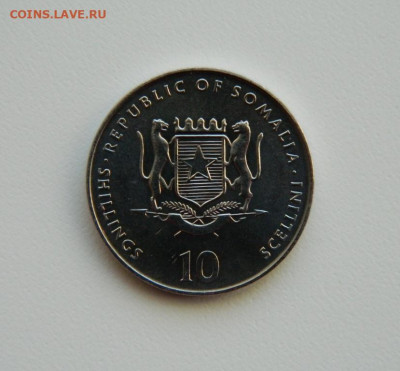 Сомали 10 шиллингов 2000 г.(Юбилейная) Фауна до 09.03.21 - DSCN6877.JPG