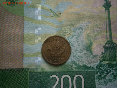 1 копейка 1964 года - P3060017.JPG