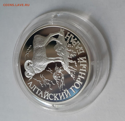 1 рубль Алтайский горный баран (1) до 12.03.2021 - 20210306_130757
