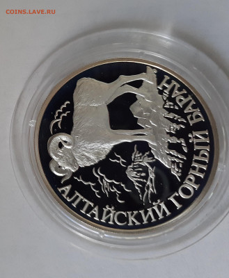 1 рубль Алтайский горный баран (2) до 12.03.2021 - 20210306_131210