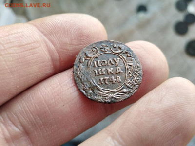 Полушка 1748 до 09.03.2021 - 1748 - копия