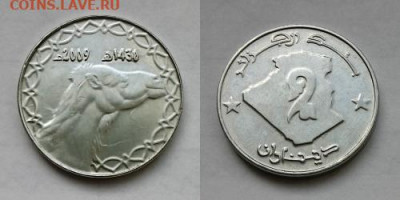 Досчитаем до 10 000 или более - 1430 монета Алжир 2 динара, 2009