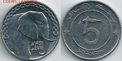 Досчитаем до 10 000 или более - 1437 монета Алжир 5 динаров, 2016