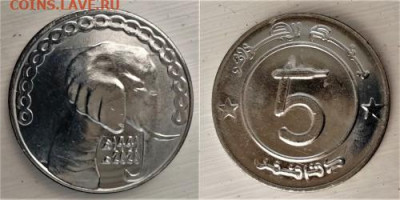 Досчитаем до 10 000 или более - 1441 монета Алжир 5 динаров, 2020