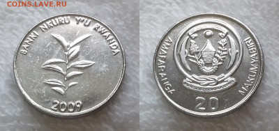 Иностранные монеты по фиксированной цене - РУАНДА 20 франков 2009 20190201_1333
