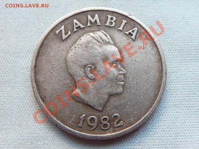 С РУБЛЯ ЗАМБИЯ  5ngwee 1982г. ЦВЕТОК до 15.10.11 в 22-00 - MEMO0039.JPG