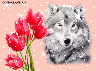 Милые Женщины С 8 Марта Вас !!! - 179646396_d7363ac9827a39b77d2c2ada6baa5032_800