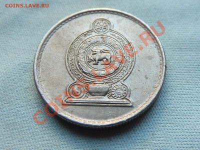 ЦЕЙЛОН 25 центов 1982г.  до 15.10.11 в 22-00 - MEMO0084.JPG