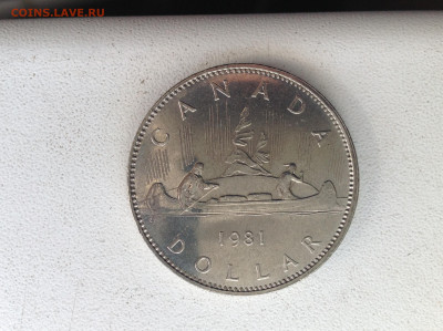 Доллар, КАНАДА,1981 г. - IMG_2567.JPG