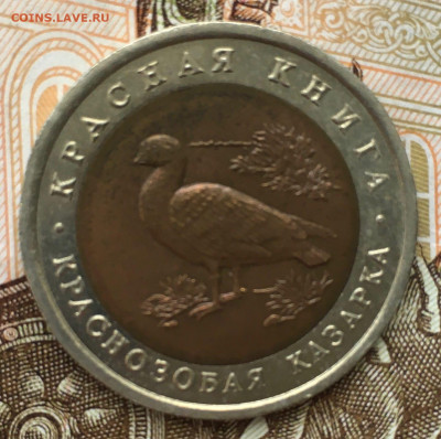 10 рублей краснозобая казарка - 10rub1