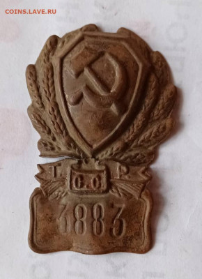 знак Рабоче-Крестьянской милиции для Туркестана 1923 г. Коп - WhatsApp Image 2021-03-10 at 20.47.39