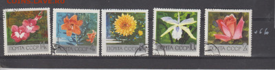 СССР 1969 цветы 5м до 17 03 - 136