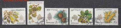 СССР 1980 деревья 5м до 17 03 - 135