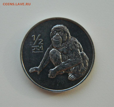 2 чона 2002 г.(Юбилейная) Фауна до 18.03.21 - DSCN7223.JPG