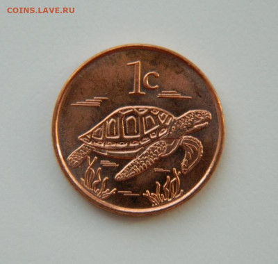Токелау 1 цент 2017 г.(Фауна) без обращения до 18.03.21 - DSCN7267.JPG