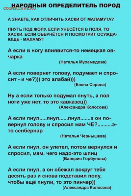 юмор - 74