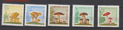 СССР 1964 грибы 5м лаковое покрытие 5м до 19 03 - 19