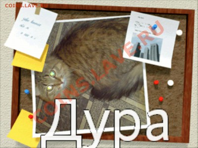 делает - прямо сейчас !!! - DSC00449.JPG
