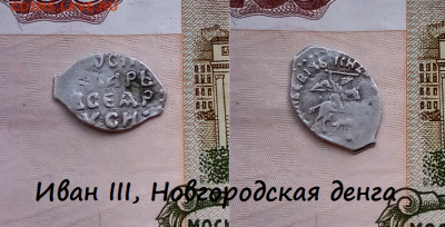Иван III, Новгородская денга. до 17.03.2021 22:22 - 5