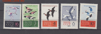 СССР 1962 птицы 5м* до 19 03 - 64
