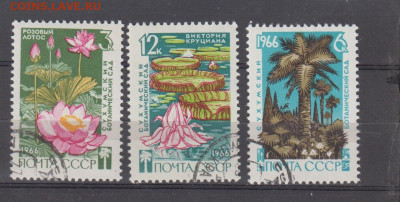 СССР 1966 Сухумский ботанический сад 3м до 19 03 - 147