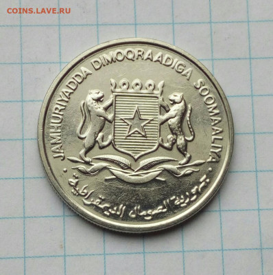 Сомали. 1 шиллинг 1984 ФАО на оценку. - IMG_20210313_113934
