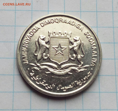 Сомали. 1 шиллинг 1984 ФАО на оценку. - IMG_20210313_105006