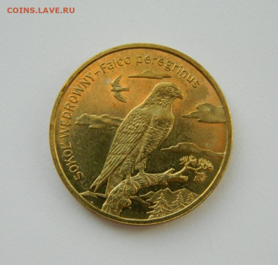 Польша 2 злотых 2008 г. (Юбилейная) Фауна до 18.03.21 - DSCN7328.JPG