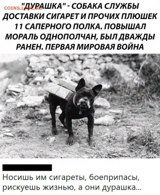 юмор - QkubG8vtnfo